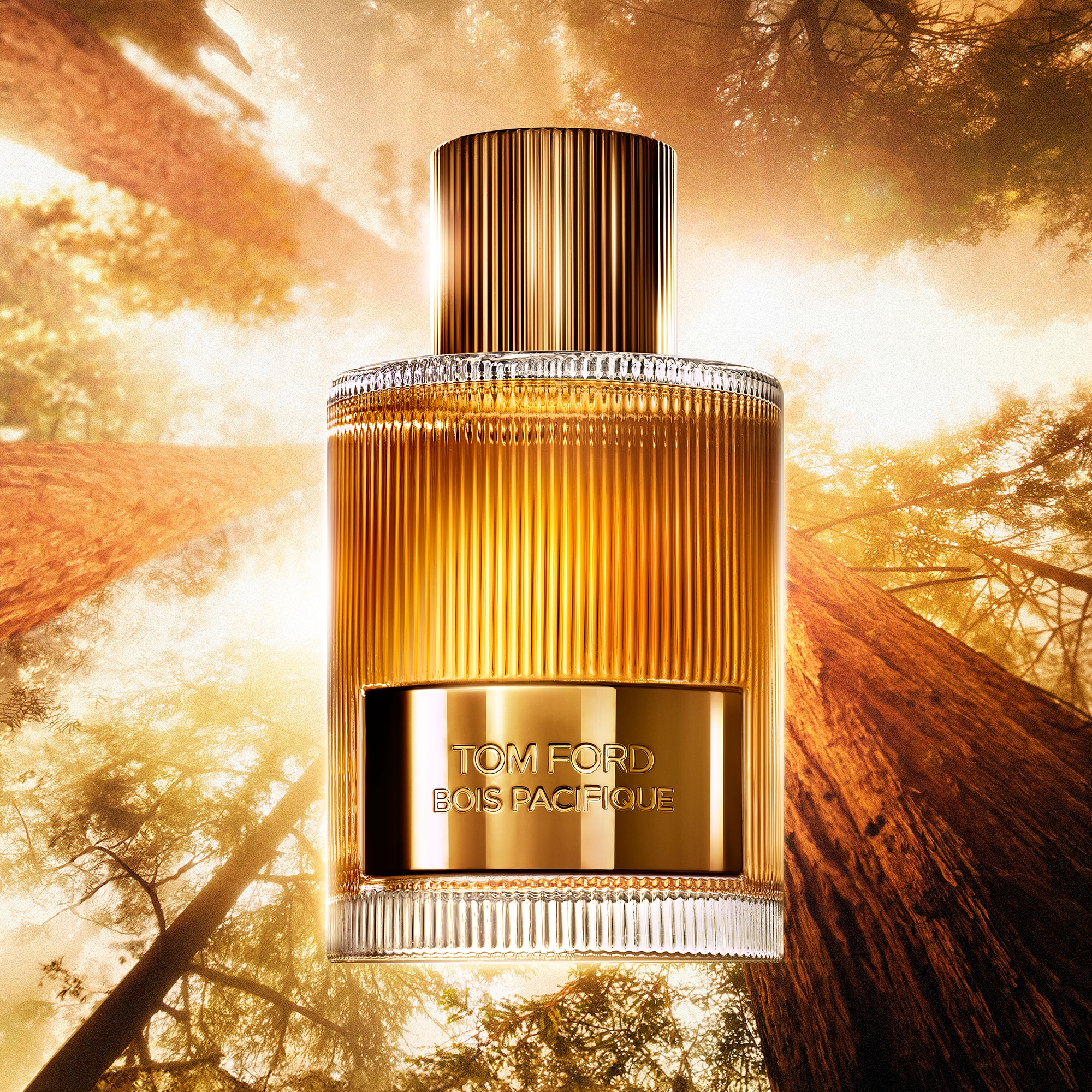 SIGNATURE BOIS PACIFIQUE EDP